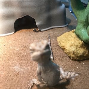 Meet your Posher, Nathan